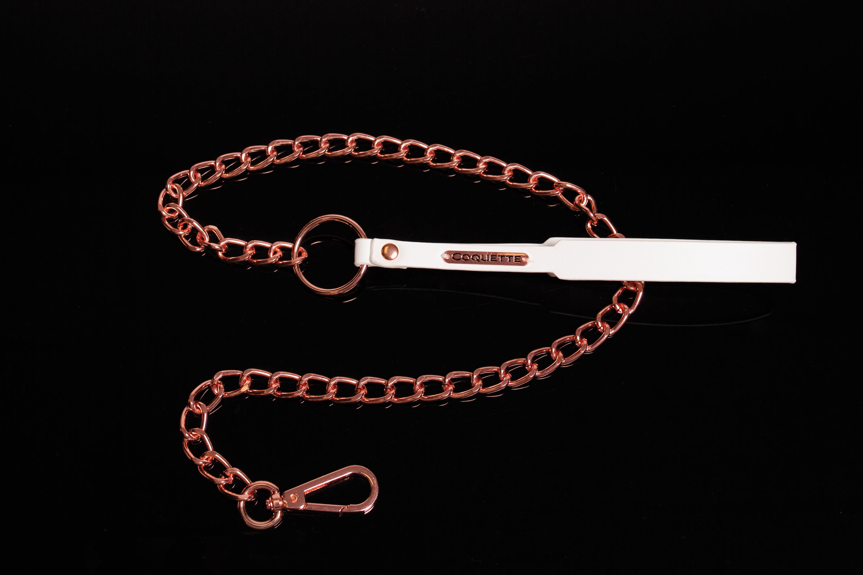 Collection of Vegan Leather Leash in a gallery layout