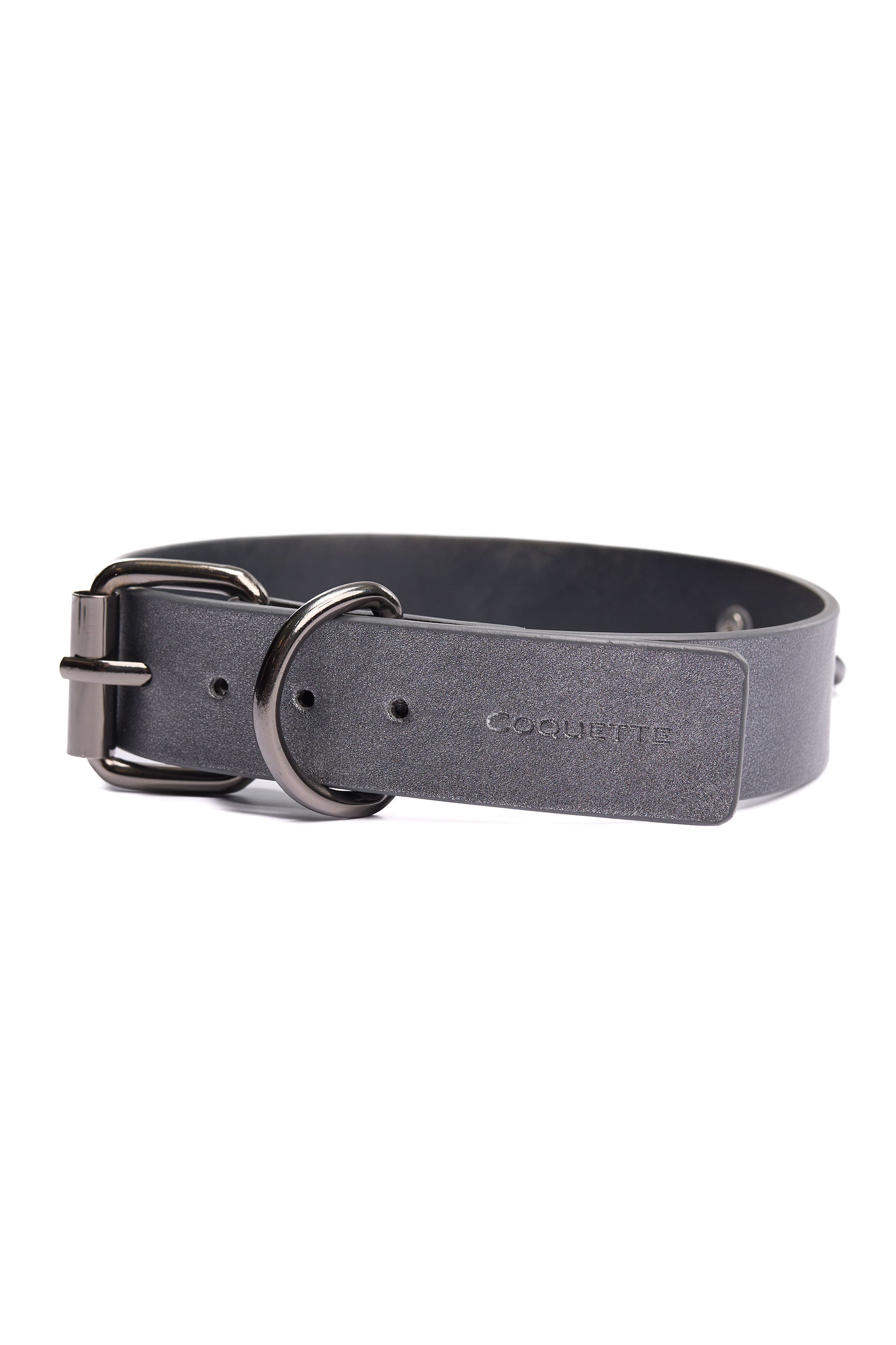 Collection of Gunmetal Glam Collar & Leash in a gallery layout