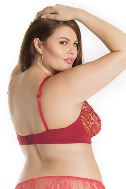 Collection of 7206 - BRA in a gallery layout